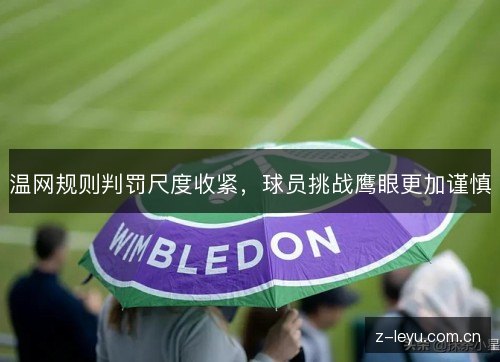 温网规则判罚尺度收紧，球员挑战鹰眼更加谨慎